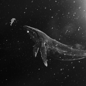 EXO《偏心》Flac/MP3格式 无损音乐下载-无损音乐源