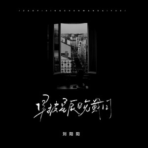 刘阳阳《早披星辰晚戴月》Flac/MP3格式 无损音乐下载-无损音乐源