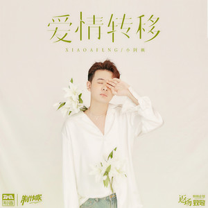 小阿枫《爱情转移》Flac/MP3格式 无损音乐下载-无损音乐源