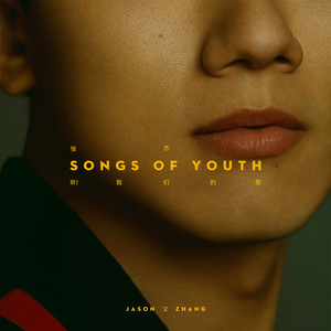 张杰《年轻的战场》Flac/MP3格式 无损音乐下载-无损音乐源