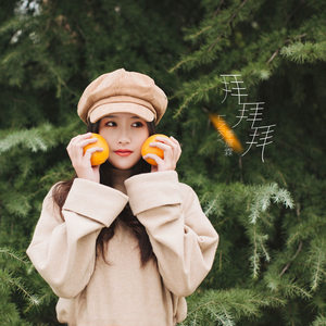 季彦霖《拜拜拜》Flac/MP3格式 无损音乐下载-无损音乐源