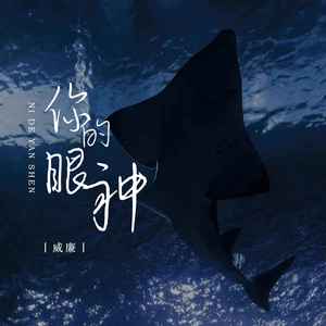 威廉《你的眼神》Flac/MP3格式 无损音乐下载-无损音乐源