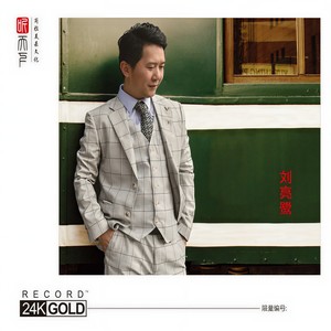 刘亮鹭《恨在今天再相遇》Flac/MP3格式 无损音乐下载-无损音乐源