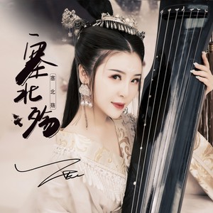 王若熙《塞北殇》Flac/MP3格式 无损音乐下载-无损音乐源