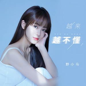 野小马《越来越不懂》Flac/MP3格式 无损音乐下载-无损音乐源
