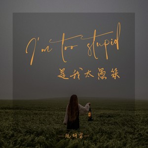 阮妍霏《是我太愚笨》Flac/MP3格式 无损音乐下载-无损音乐源