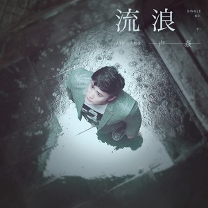 卢焱《流浪》Flac/MP3格式 无损音乐下载-无损音乐源