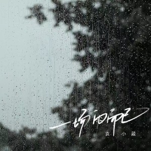 袁小葳《一场雨而已》Flac/MP3格式 无损音乐下载-无损音乐源