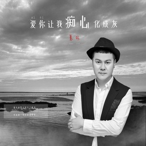暴林《爱你让我痴心化成灰》Flac/MP3格式 无损音乐下载-无损音乐源