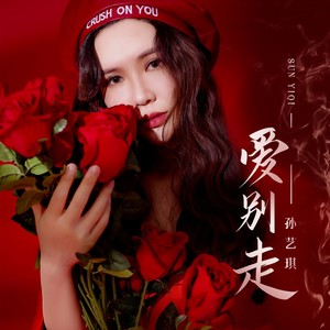 孙艺琪《爱别走》Flac/MP3格式 无损音乐下载-无损音乐源