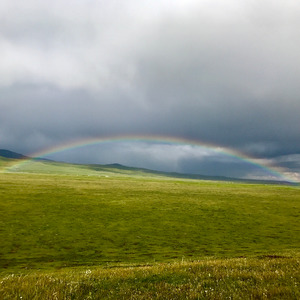 汪明辉《回族姑娘》Flac/MP3格式 无损音乐下载-无损音乐源