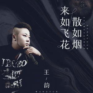 王韵《来如飞花散如烟》Flac/MP3格式 无损音乐下载-无损音乐源