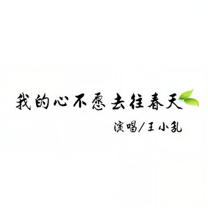 王小乱《我的心不愿去往春天》Flac/MP3格式 无损音乐下载-无损音乐源