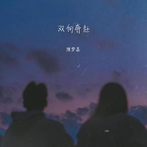 陳梦嘉《双向奔赴》Flac/MP3格式 无损音乐下载-无损音乐源