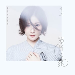 庆庆《猫与毛线》Flac/MP3格式 无损音乐下载-无损音乐源