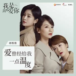 谭维维《爱曾经给我一点温度》Flac/MP3格式 无损音乐下载-无损音乐源