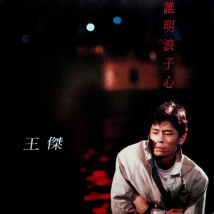 王杰《一点滴诗意》Flac/MP3格式 无损音乐下载-无损音乐源