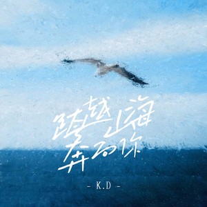 K.D《跨越山海奔向你》Flac/MP3格式 无损音乐下载-无损音乐源