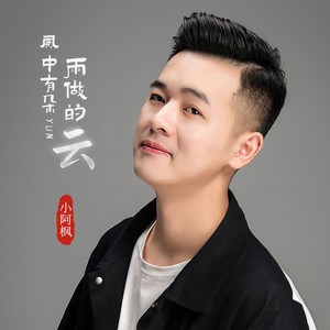 小阿枫《风中有朵雨做的云》Flac/MP3格式 无损音乐下载-无损音乐源