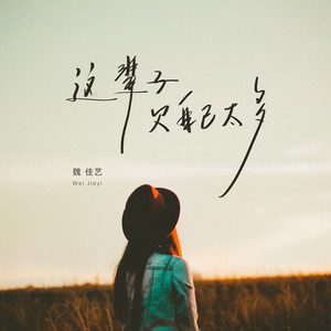 魏佳艺《这辈子欠自己太多》Flac/MP3格式 无损音乐下载-无损音乐源