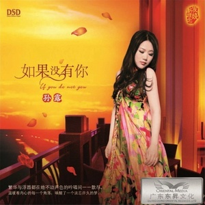 孙露《你给我一片天》Flac/MP3格式 无损音乐下载-无损音乐源