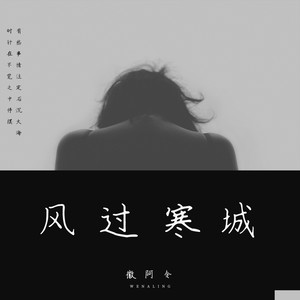 徽阿令《风过寒城》Flac/MP3格式 无损音乐下载-无损音乐源