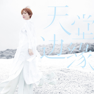 陈洁仪《不变的月光》Flac/MP3格式 无损音乐下载-无损音乐源