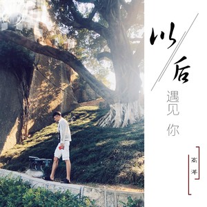 高洋《以后遇见你》Flac/MP3格式 无损音乐下载-无损音乐源