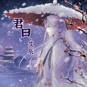 艾辰《君曰》Flac/MP3格式 无损音乐下载-无损音乐源