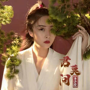 章子琦《君莫问》Flac/MP3格式 无损音乐下载-无损音乐源