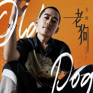 苏醒AllenSu《老狗》Flac/MP3格式 无损音乐下载-无损音乐源
