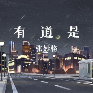 张妙格《有道是》Flac/MP3格式 无损音乐下载-无损音乐源