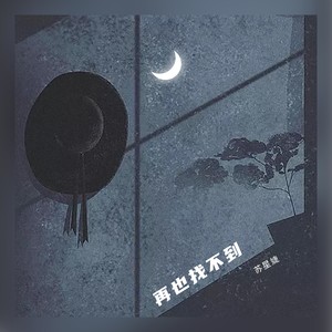 苏星婕《再也找不到》Flac/MP3格式 无损音乐下载-无损音乐源