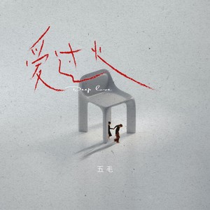 五毛《爱过火》Flac/MP3格式 无损音乐下载-无损音乐源