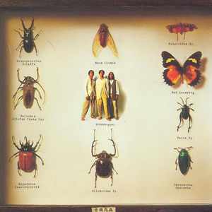 草蜢《静待破晓》Flac/MP3格式 无损音乐下载-无损音乐源