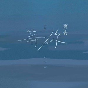 张大蕾《等你离去》Flac/MP3格式 无损音乐下载-无损音乐源