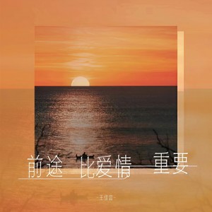 王佳音《前途比爱情重要》Flac/MP3格式 无损音乐下载-无损音乐源