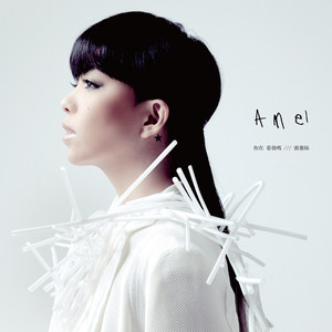 张惠妹《还有眼泪就好》Flac/MP3格式 无损音乐下载-无损音乐源