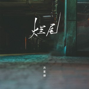 苏星婕《烂尾》Flac/MP3格式 无损音乐下载-无损音乐源