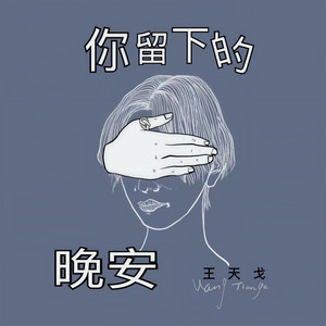 王天戈《你留下的晚安》Flac/MP3格式 无损音乐下载-无损音乐源