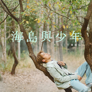 叶振弘《海岛与少年》Flac/MP3格式 无损音乐下载-无损音乐源