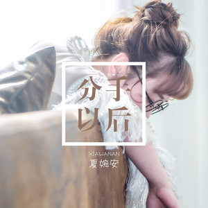 夏婉安《分手以后》Flac/MP3格式 无损音乐下载-无损音乐源