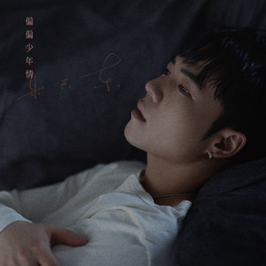 朱兴东《偏偏少年情》Flac/MP3格式 无损音乐下载-无损音乐源