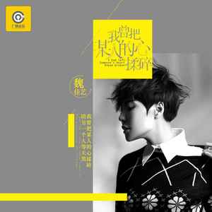 魏佳艺《我曾把某人的心揉碎》Flac/MP3格式 无损音乐下载-无损音乐源