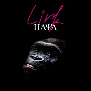 HAYA乐团《青海十月》Flac/MP3格式 无损音乐下载-无损音乐源