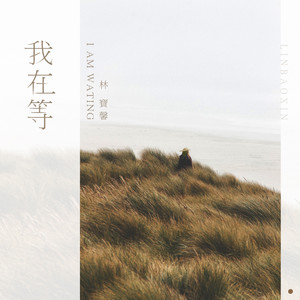林宝馨《我在等》Flac/MP3格式 无损音乐下载-无损音乐源