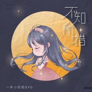一条小团团ovo《不知所措》Flac/MP3格式 无损音乐下载-无损音乐源