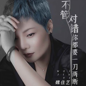 魏佳艺《一刀两断》Flac/MP3格式 无损音乐下载-无损音乐源
