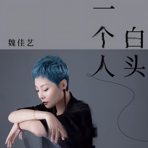 魏佳艺《一个人白头》Flac/MP3格式 无损音乐下载-无损音乐源