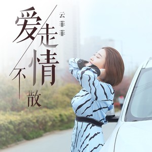 云菲菲《爱走情不散》Flac/MP3格式 无损音乐下载-无损音乐源